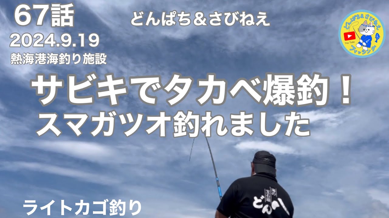【カゴ釣り　サビキ釣り　タカベ爆釣】