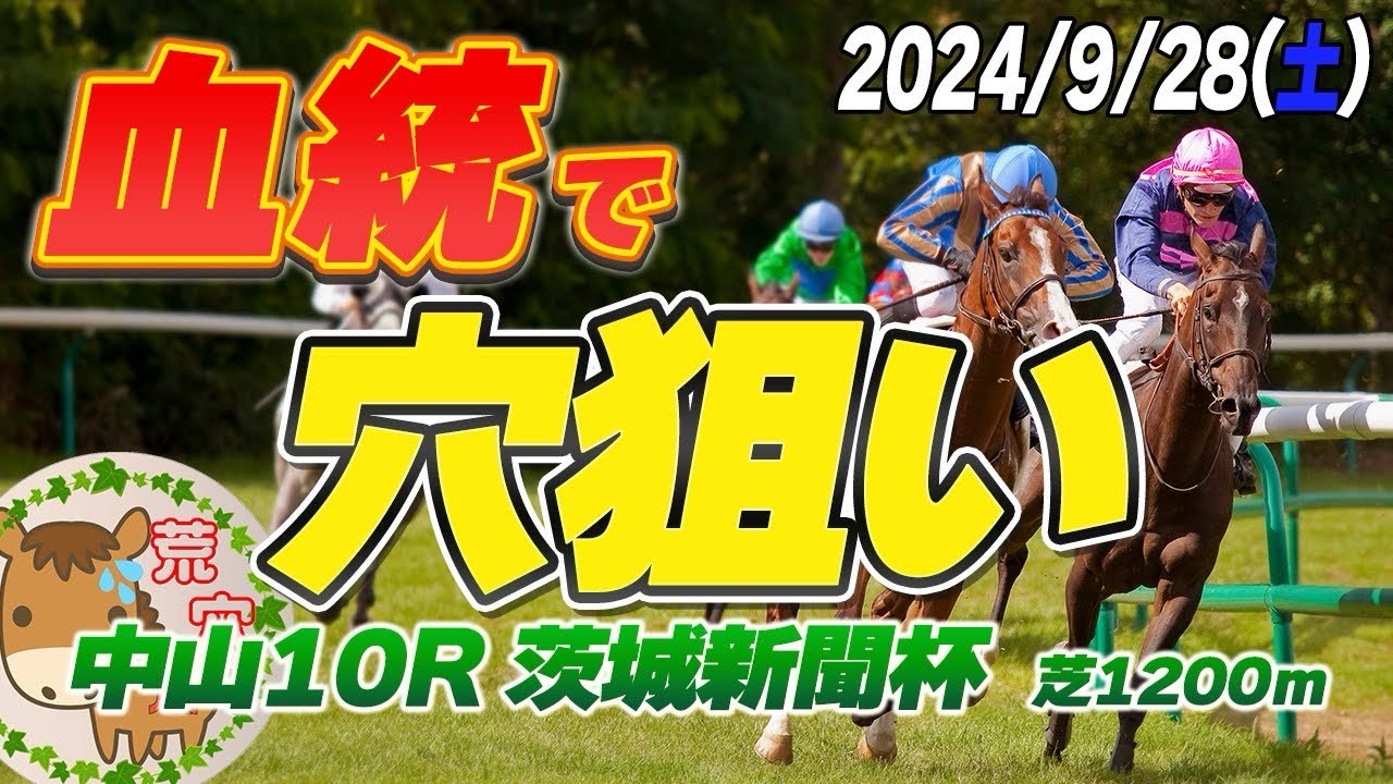 【買い目公開】　2024年9月28日　平場予想【JRA】