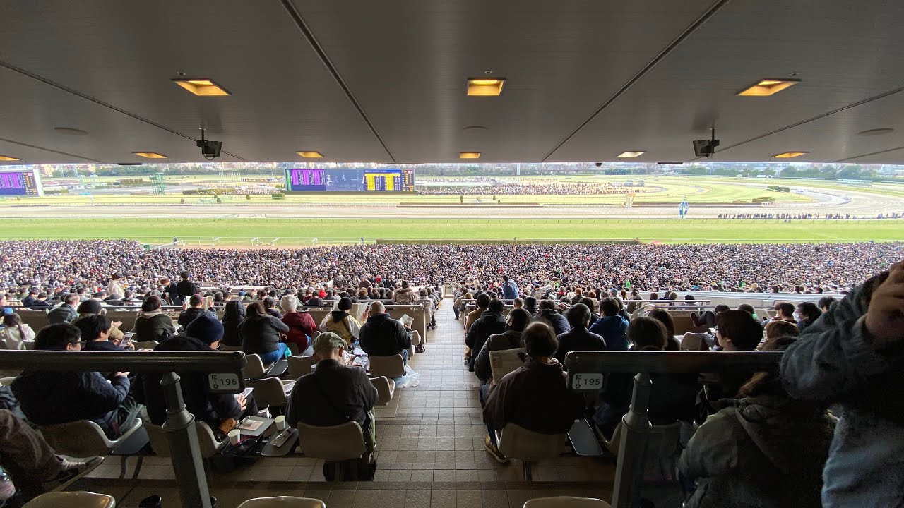 フェブラリーステークス2024ファンファーレ