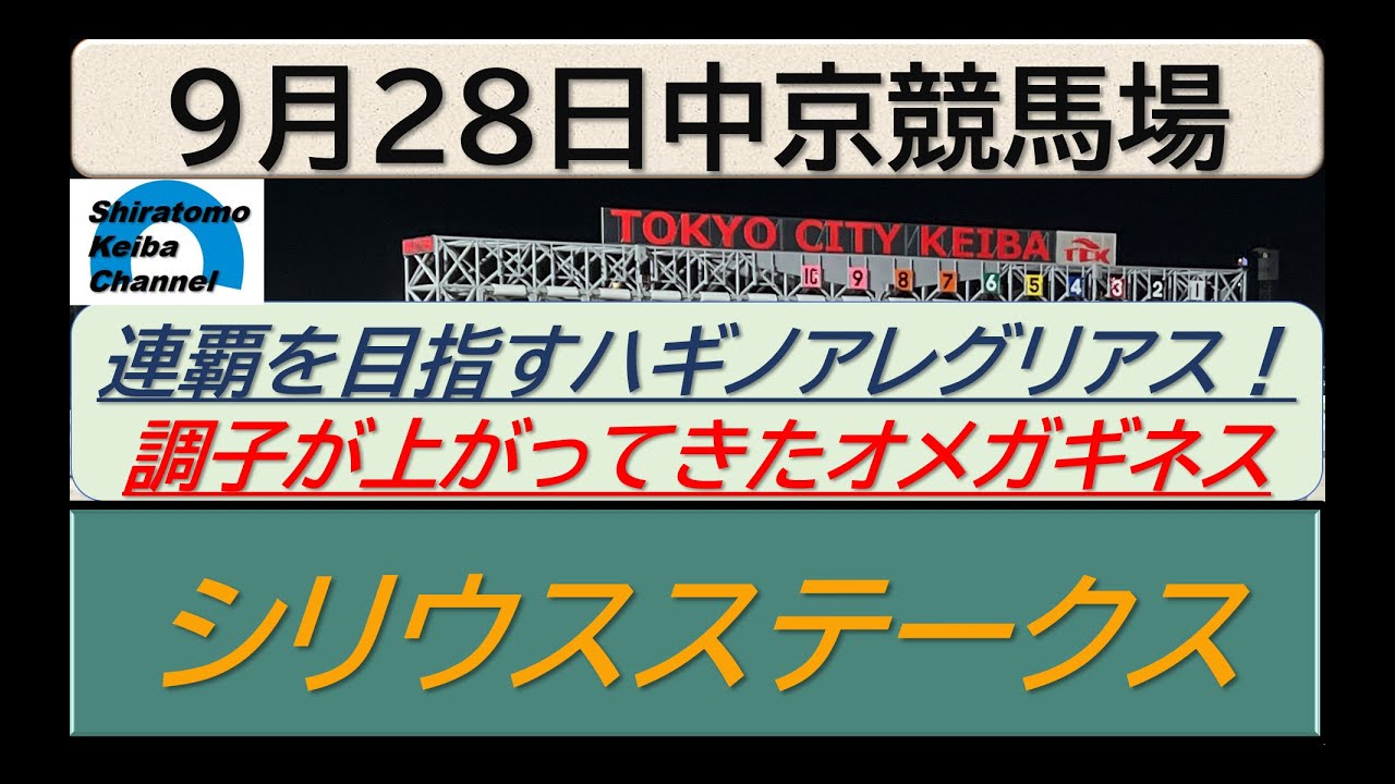 【競馬予想】GⅢシリウスステークス！～２０２４年９月２８日 中京競馬場 ：９－４８