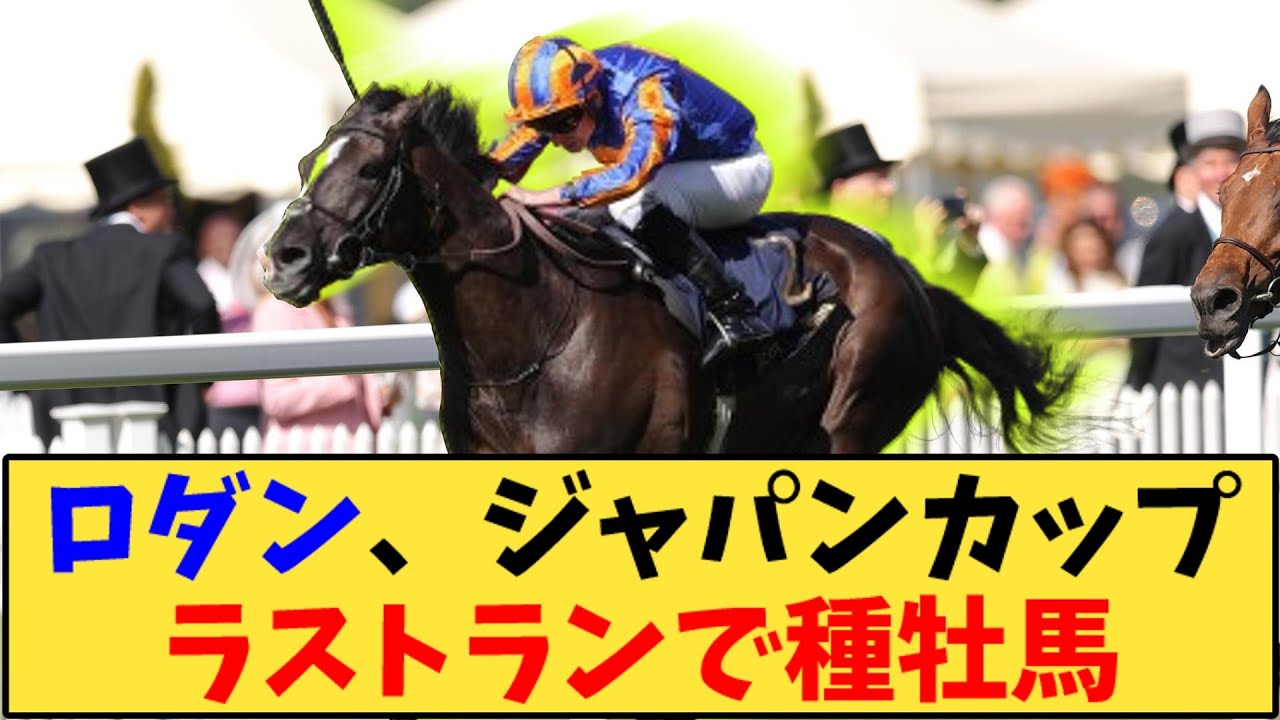 【競馬】「オーギュストロダン、ジャパンカップラストランで種牡馬へ」に対する反応【反応集】