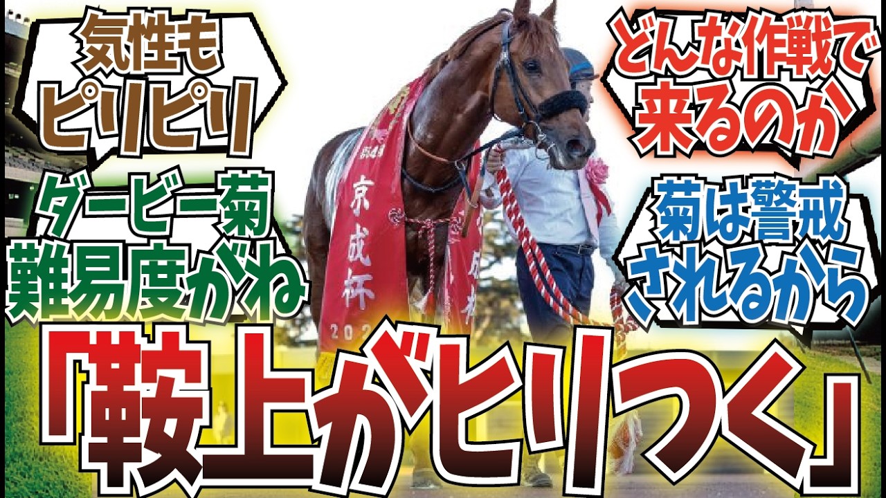 「不安が付きまとうダノンデサイル」に対するみんなの反応集