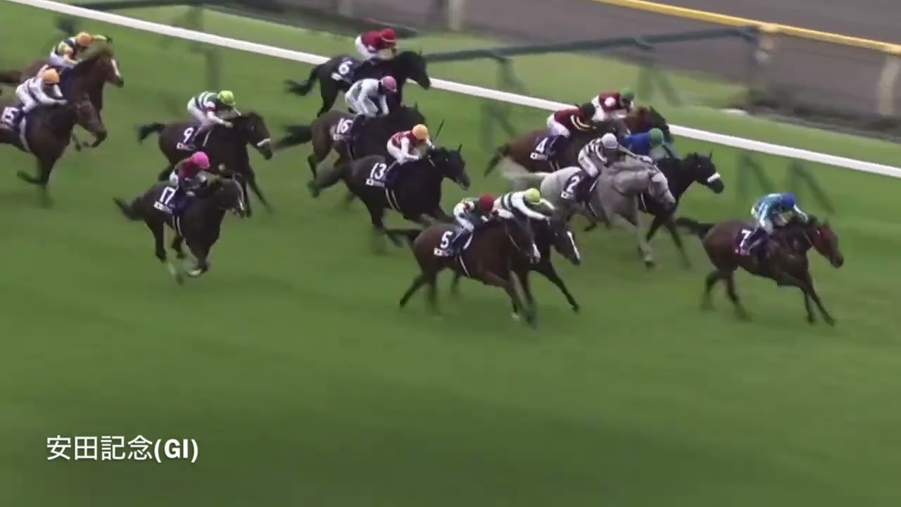 スプリンターズステークス(GI)参考レース集