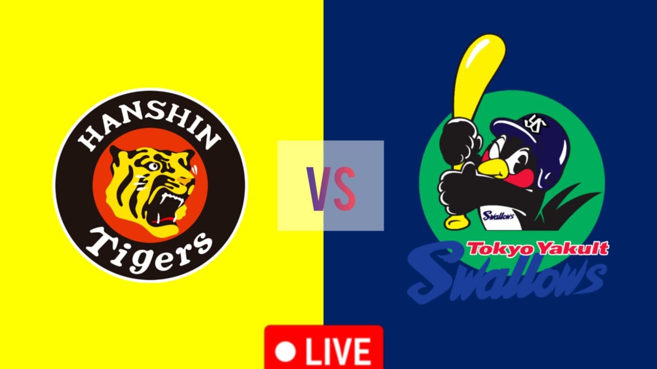 阪神タイガース vs 東京ヤクルトスワローズ野球試合 NPB 2024