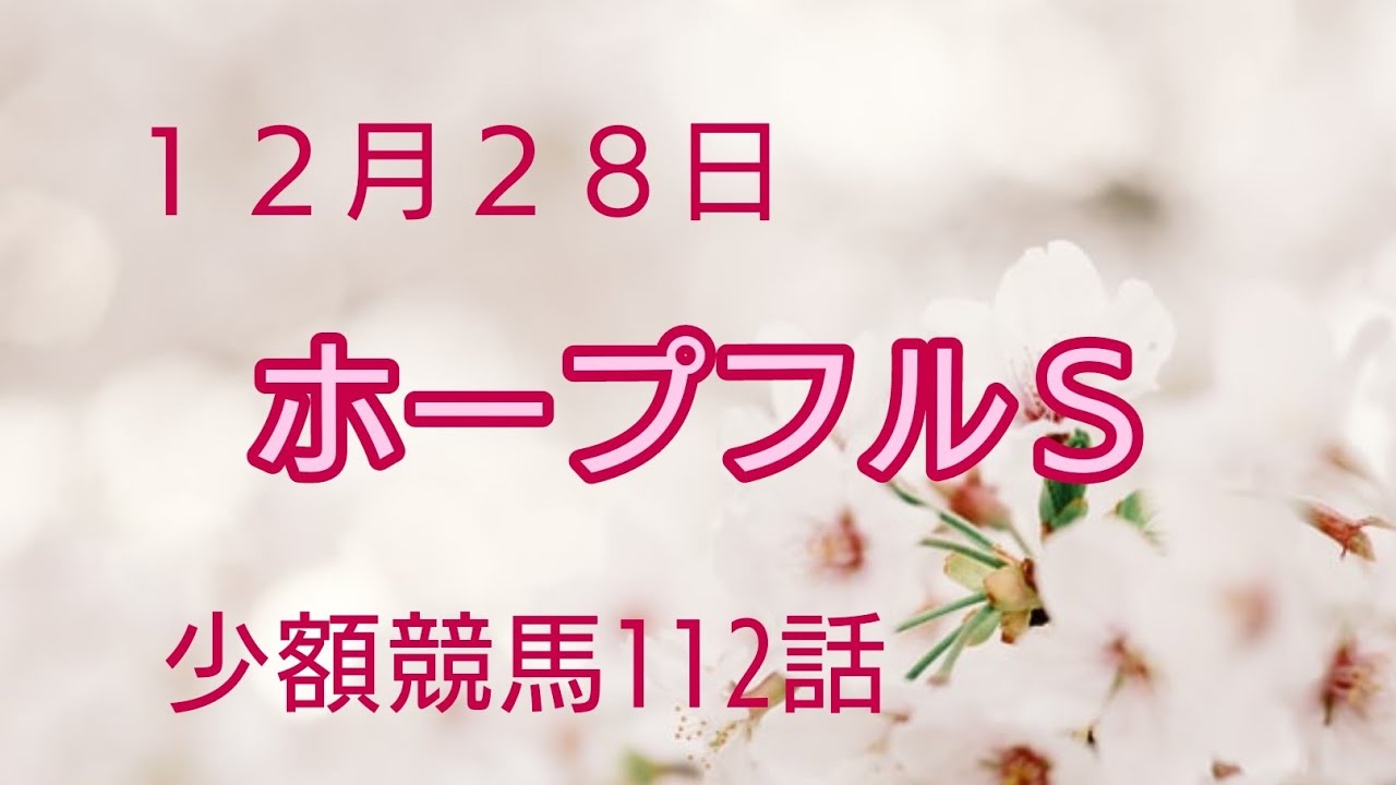 【ホープフルＳ】2023年最後の競馬と回収率。