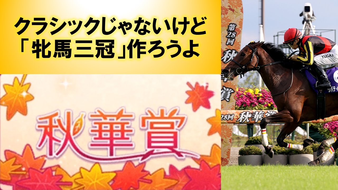 【初心者向けGI解説】秋華賞【2024年度版】