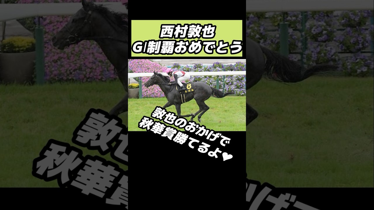 淳也のお陰で秋華賞は100%勝てる #オワタ地球人代表 #競馬 #スプリンターズs #ルガル #西村淳也 #秋華賞 #ボンドガール #shorts