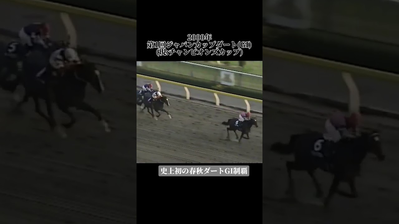 王者の貫禄で史上初の春秋ダートGI制覇を達成したウイングアロー#競馬#ウイングアロー#ジャパンカップダート#チャンピオンズカップ#shorts