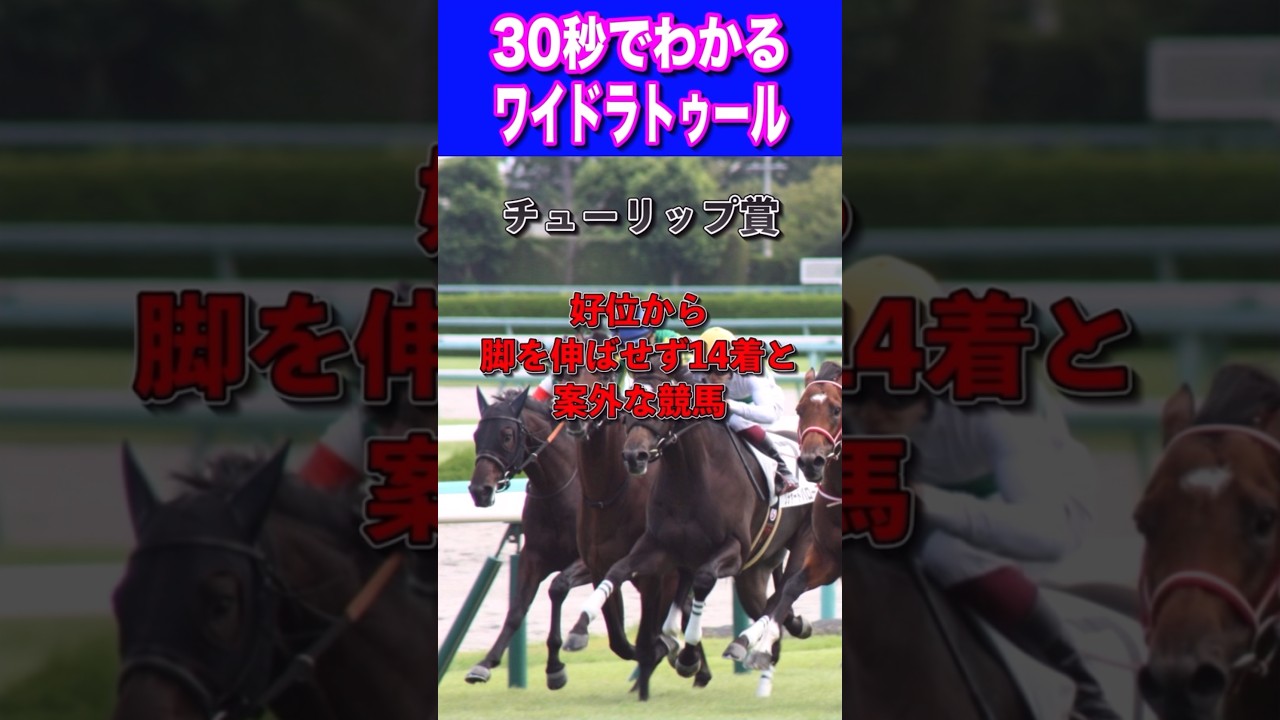 【桜花賞2024】30秒でわかるワイドラトゥール