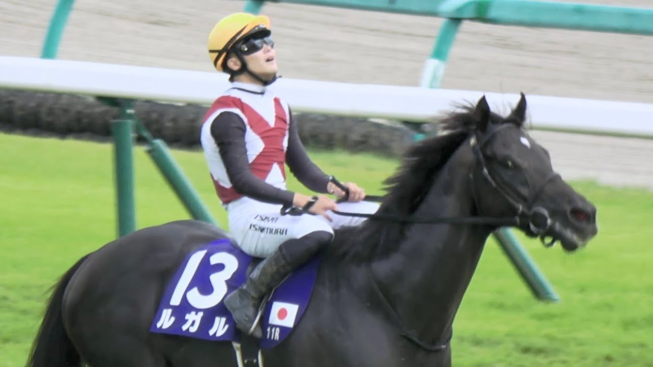 【スプリンターズステークスGⅠ】西村騎手も馬も初GⅠ‼ ウィニングラン号泣‼ 現地映像 ルガル