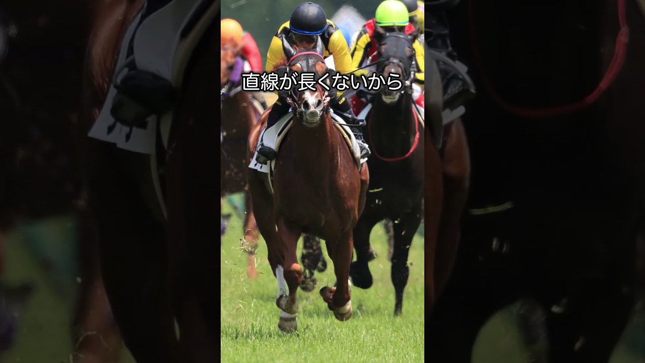 【スプリンターズステークス2024】スプリンターズSコース解説！#競馬 #スプリンターズステークス2024 #スプリンターズステークス#shorts