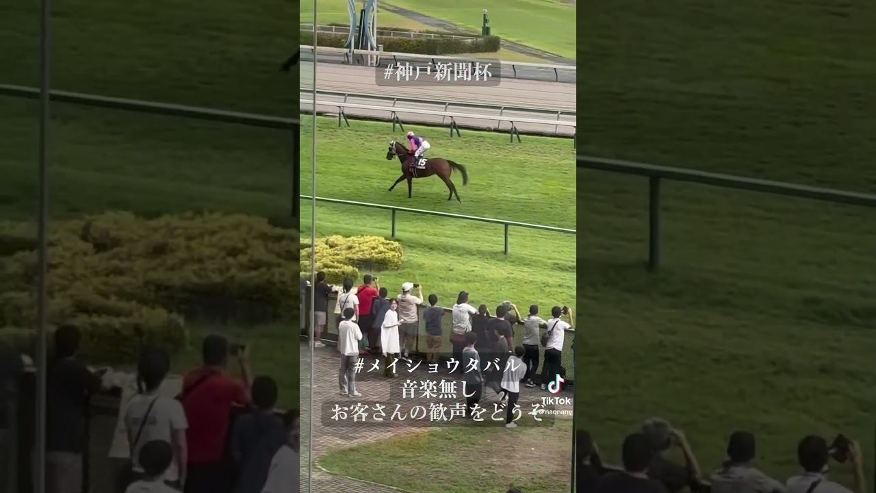 神戸新聞杯　メイショウタバル　菊花賞出走決定　生の歓声をお聞きください