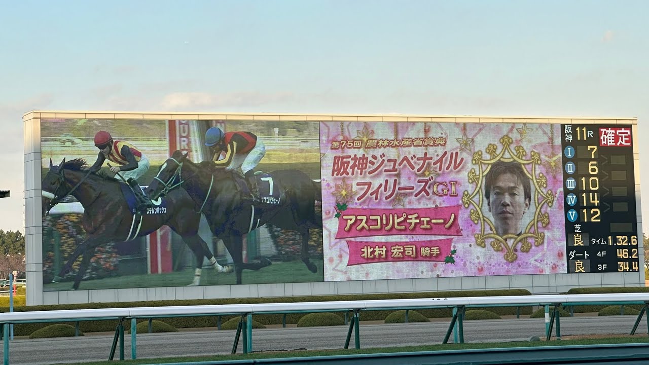 阪神JF 2024 アスコリピチェーノ 北村宏司騎手