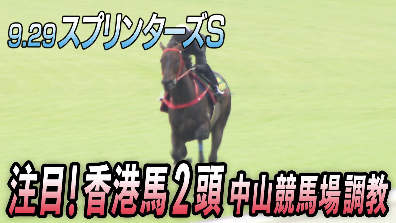 【スプリンターズS】香港馬ビクターザウィナー＆ムゲン調教＠中山競馬場