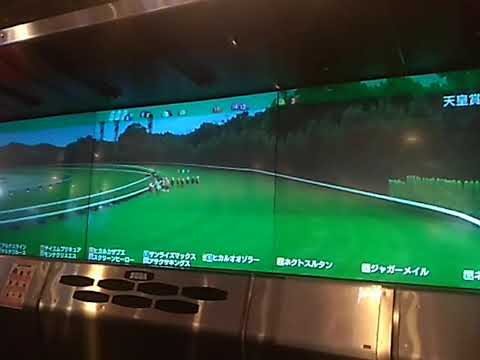 1ヒカルオオゾラー 天皇賞春