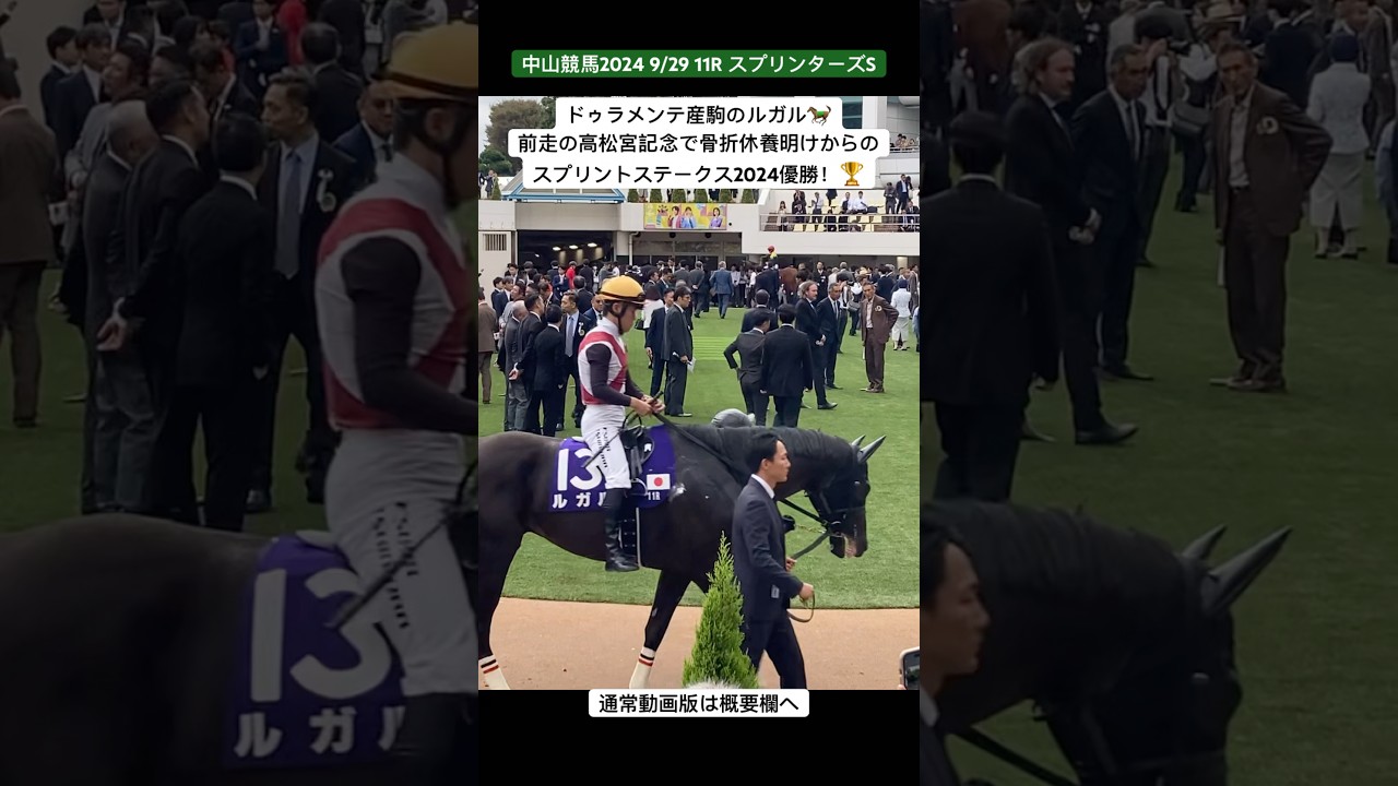 ドゥラメンテ産駒のルガル🐎前走の高松宮記念で骨折休養明けからのスプリンターズステークス2024優勝！🏆　#ルガル　#スプリンターズステークス2024  #ママコチャ