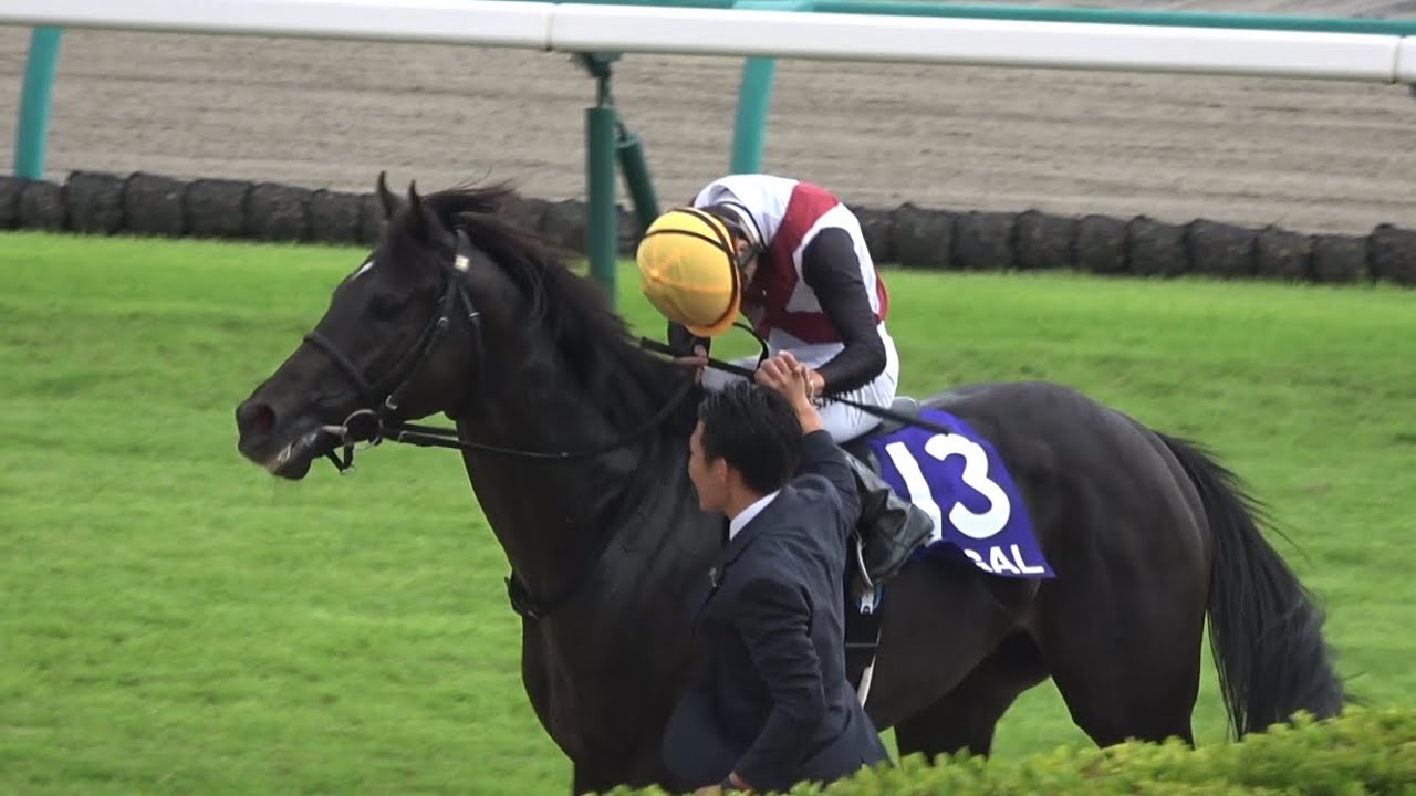 【初G1制覇 】2024 G1 スプリンターズステークス ルガル 西村 淳也【淳也コール】