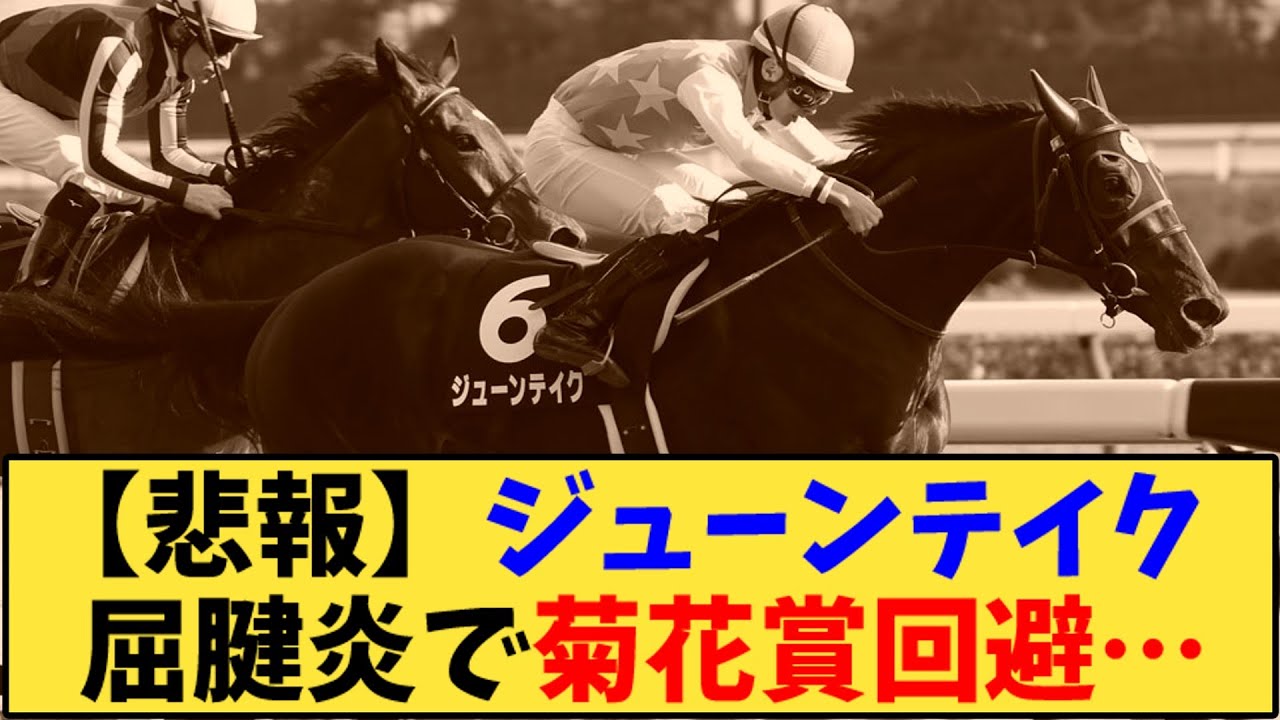 【競馬】「【悲報】ジューンテイク  屈腱炎で菊花賞回避…」に対する反応【反応集】