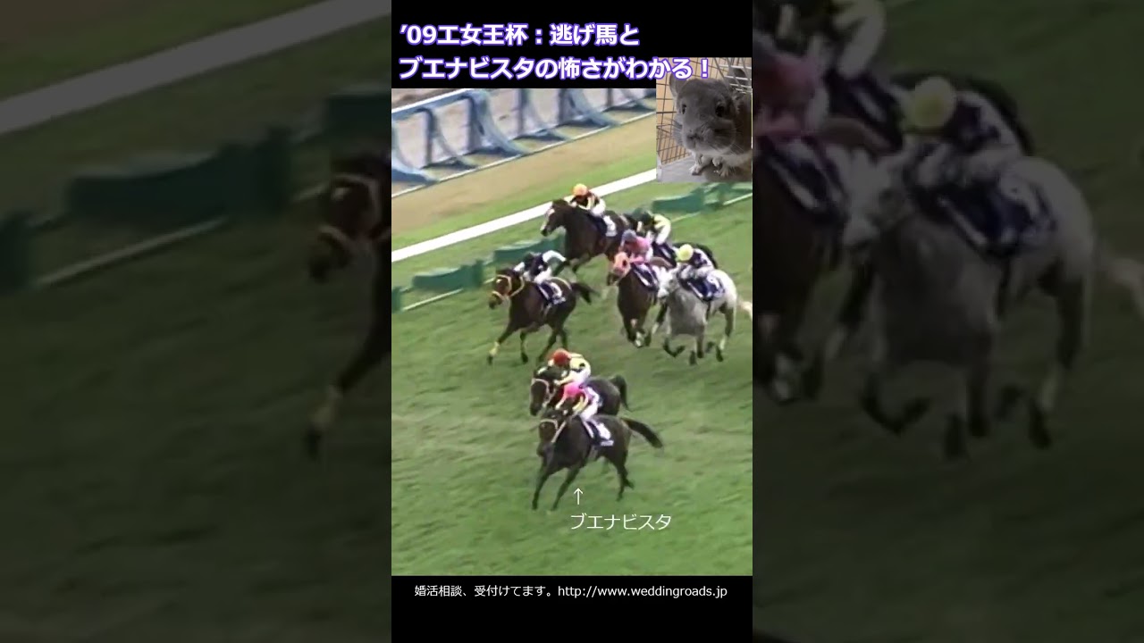 【イケスポ競馬】2009年秋・G1：エリザベス女王杯 #150万馬券