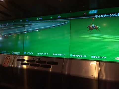 殿堂馬 マイルCS