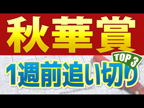 【秋華賞2024】一週前追い切りが高評価だった出走予定馬3頭をシュミレーション🐴 ～JRA競馬予想～