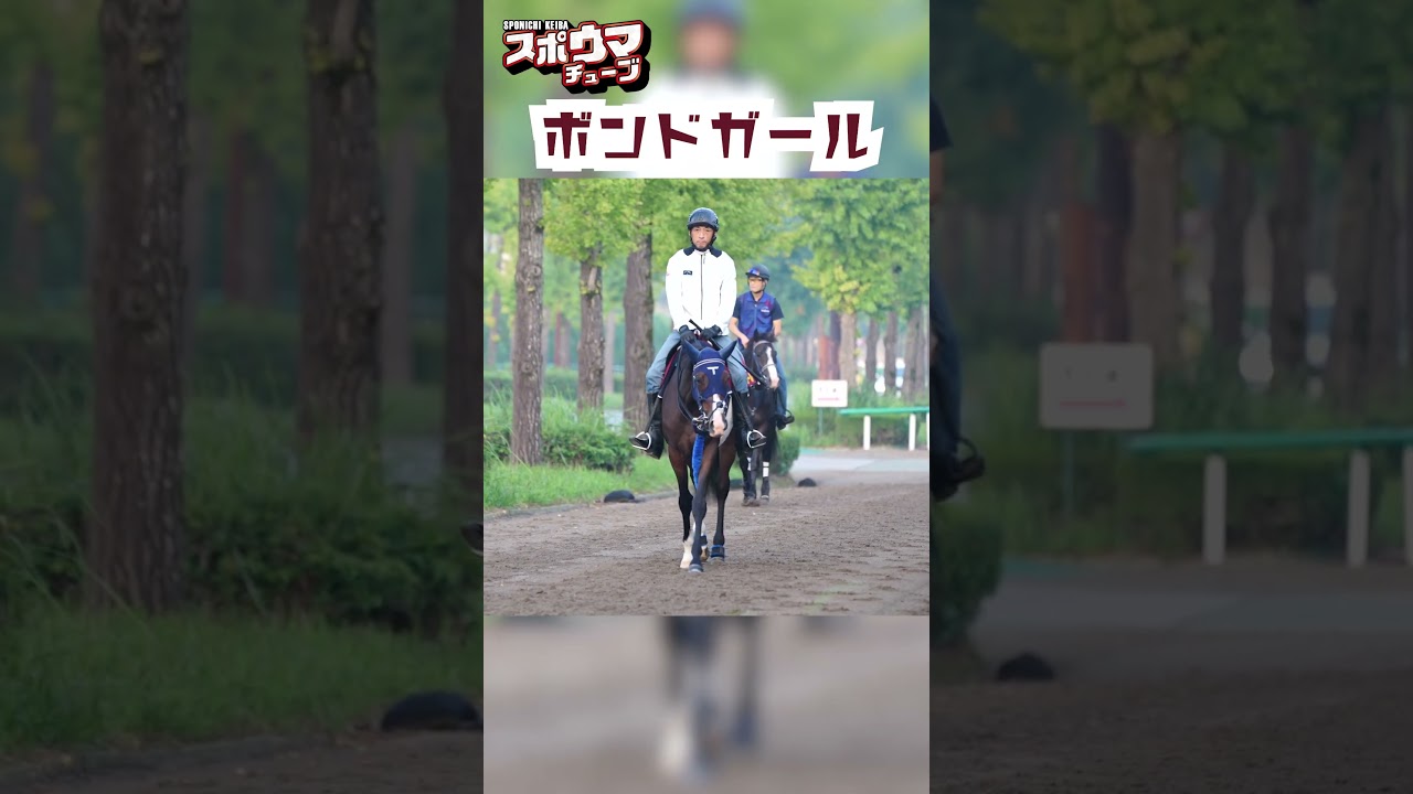【秋華賞・出走予定】ボンドガール 美浦での様子 ＃ボンドガール ＃秋華賞　#shorts