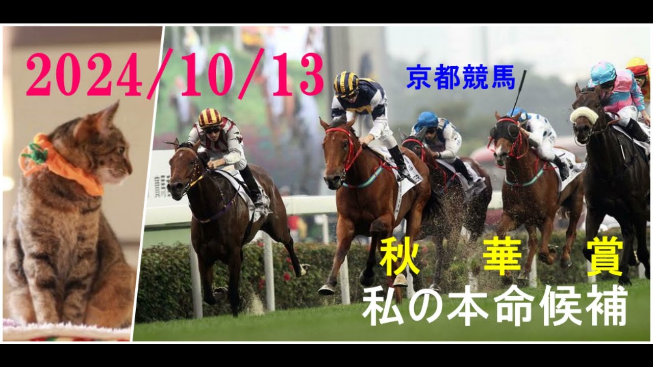 2024/10/13　京都競馬　秋華賞（ＧⅠ）私の本命候補