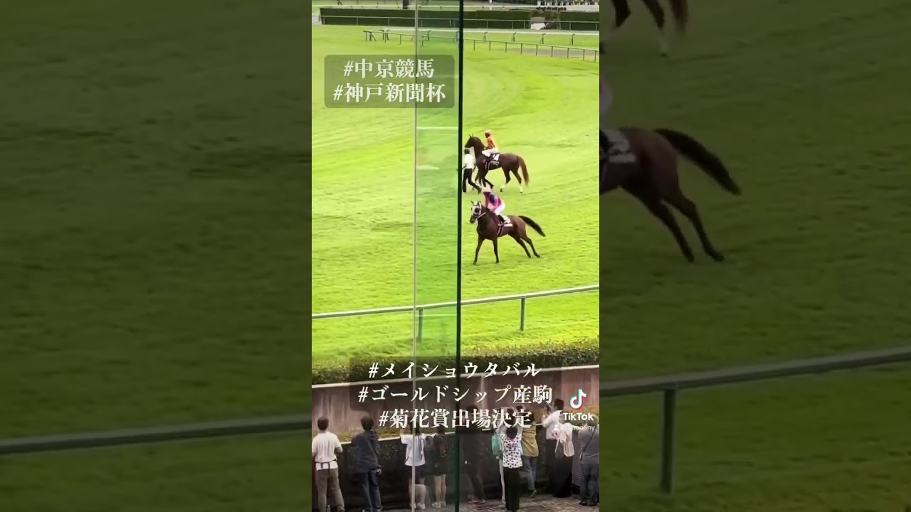 中京競馬　メイショウタバル　神戸新聞杯　ゴールドシップ産駒　菊花賞出場決定