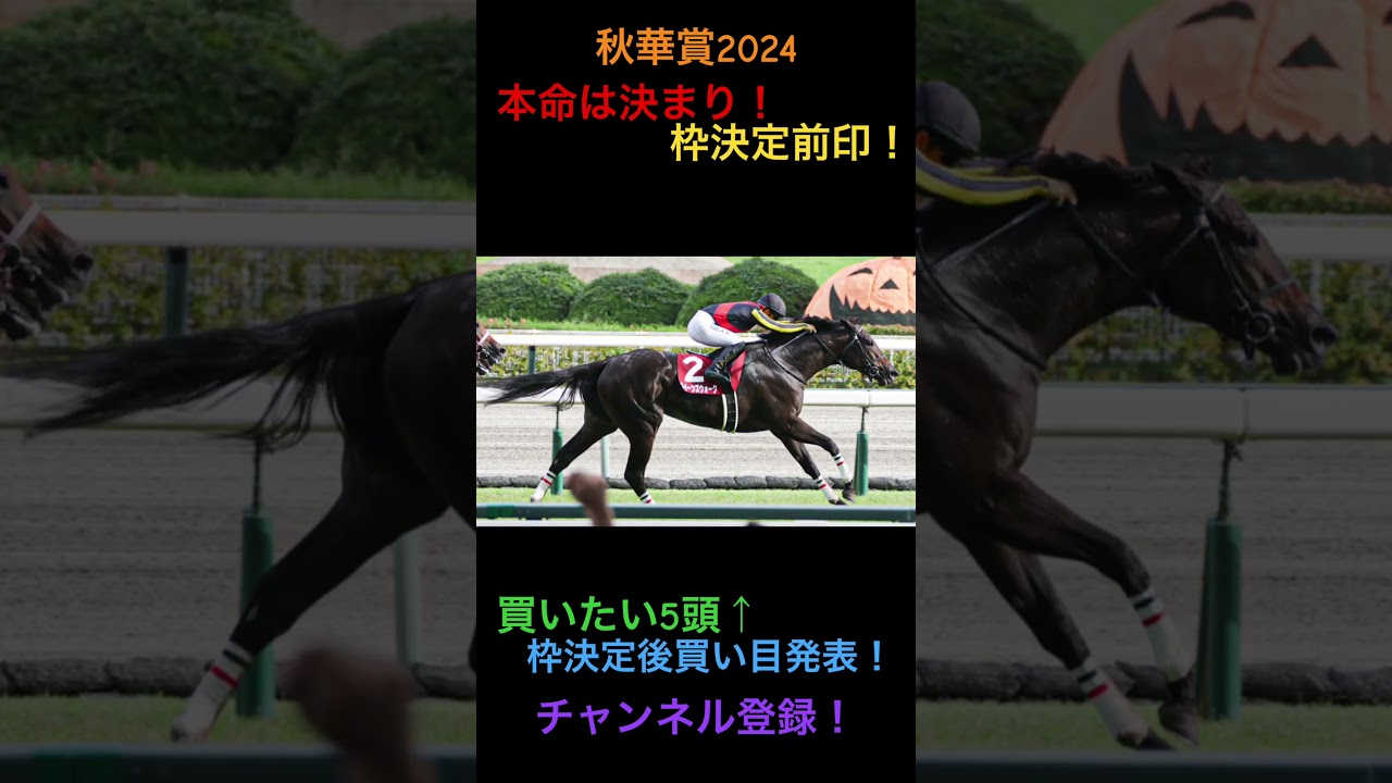 秋華賞2024枠決定前から本命は決まり！買いたい5頭！#秋華賞#秋華賞2024#競馬 #ギャンブル #競馬買い目 #競馬予想データ #穴馬 #競馬的中率