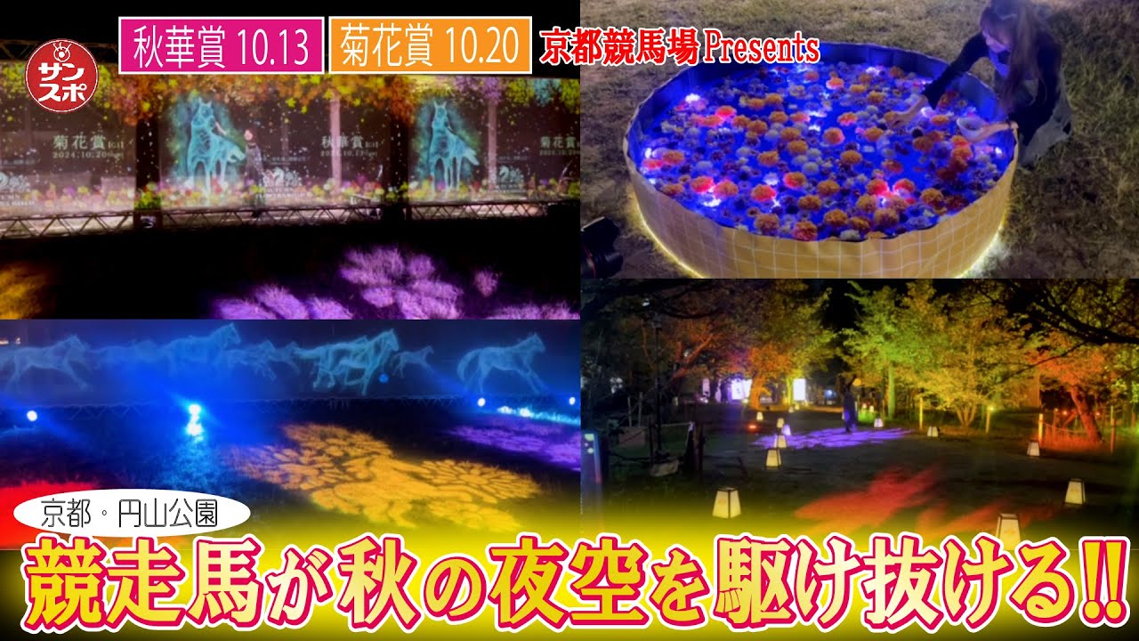 【秋華賞と菊花賞を彩る!】京都・円山公園で光と映像のイベント開催!