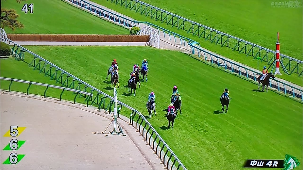 中山4レース障害未勝利 ブラビオ