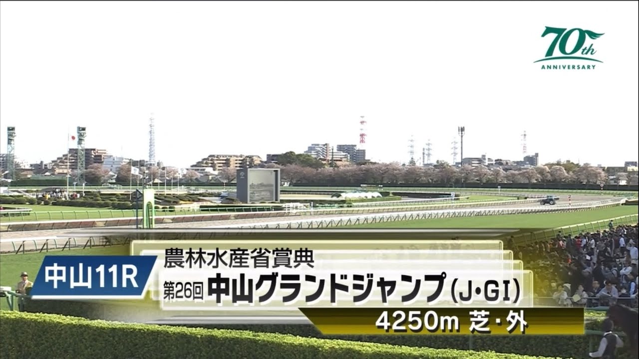 中山グランドジャンプ（2024）本馬場入場