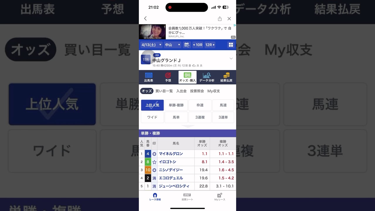 中山グランドジャンプ2024 馬連2点🔥#中山グランドジャンプ #中山グランドj #競馬 #競馬予想 #マイネルグロン #ニシノデイジー