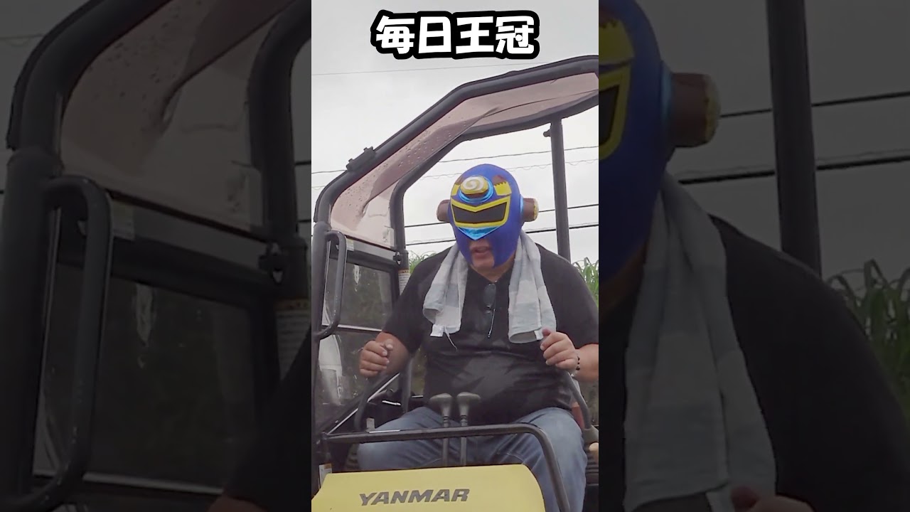 【京都大賞典・毎日王冠S2024予想】天皇賞秋の前哨戦でメイチはこの馬！ #shorts