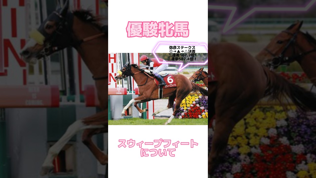 【優駿牝馬2024】スウィープフィートについて #オークス #オークス2024 #優駿牝馬  #ステレンボッシュ #スウィープフィート #ライトバック #クイーンズウォーク #チェルヴィニア
