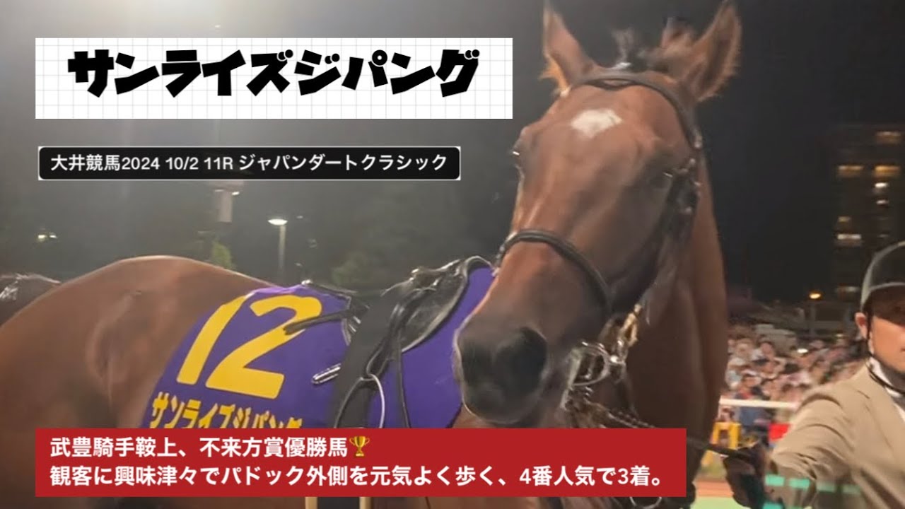 【JDC】武豊騎手鞍上、不来方賞優勝馬のサンライズジパング🇯🇵観客に興味津々で勢いよくパドック外側を元気に歩く🐎このJDCを4番人気で3着。