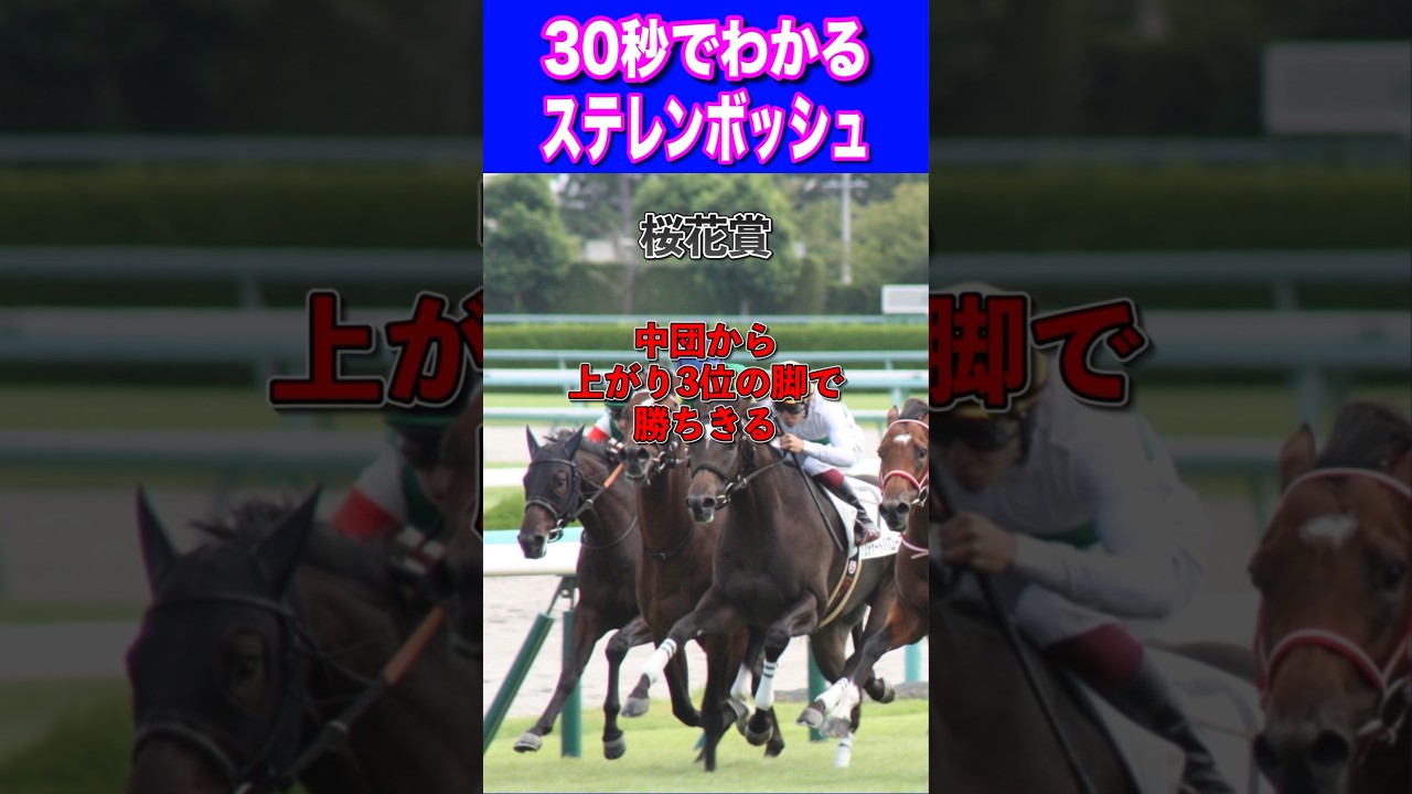 【オークス2024】30秒でわかるステレンボッシュ