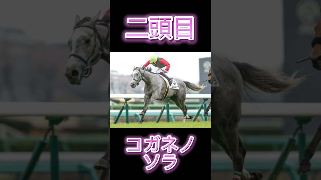 優駿牝馬2024！絶対抑える穴馬6頭！#shorts #競馬 #競馬予想 #オークス #優駿牝馬 #ウマ娘 #ウマ娘プリティーダービー