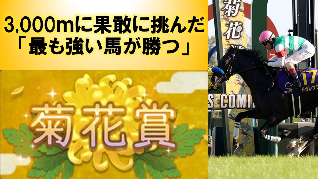 【初心者向けGI解説】菊花賞【2024年度版】