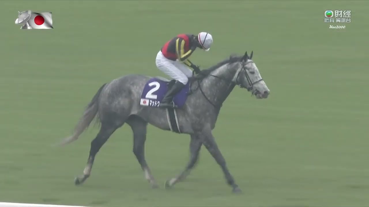 2024 高松宮紀念 消暑樂祭 Mad Cool マッドクール 坂井瑠星
