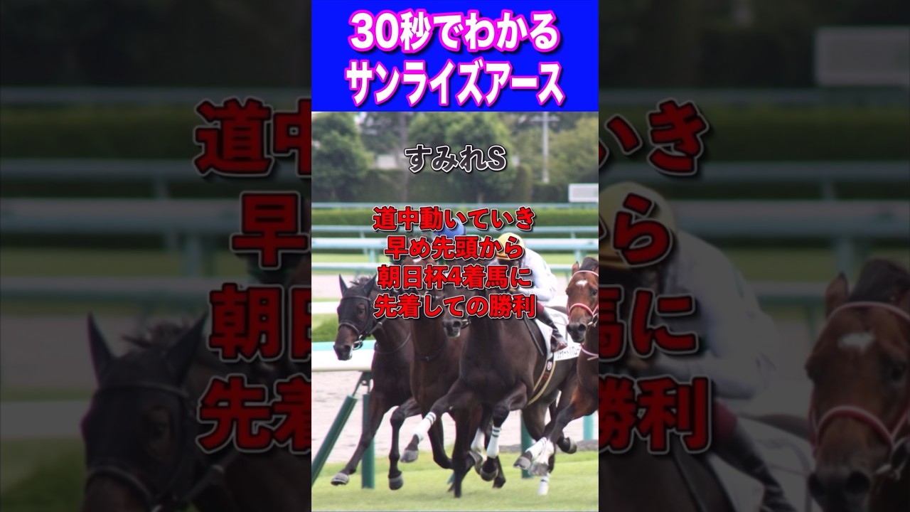 【皐月賞2024】30秒でわかるサンライズアース