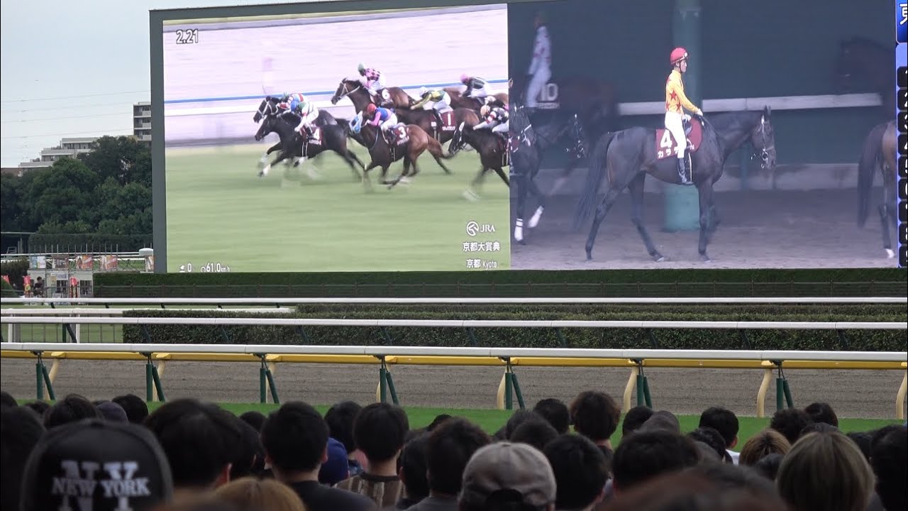 【京都大賞典2024】ディープボンドの激走に沸く東京競馬場【毎日王冠DAY】