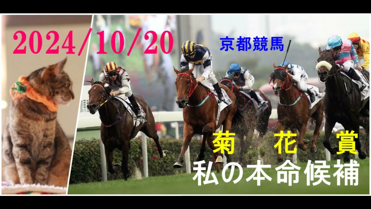 2024/10/20　京都競馬　菊花賞（ＧⅠ）私の本命候補