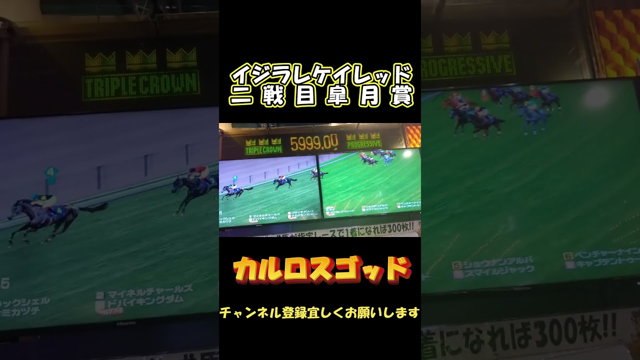 イジラレケイレッド二戦目皐月賞　#shorts