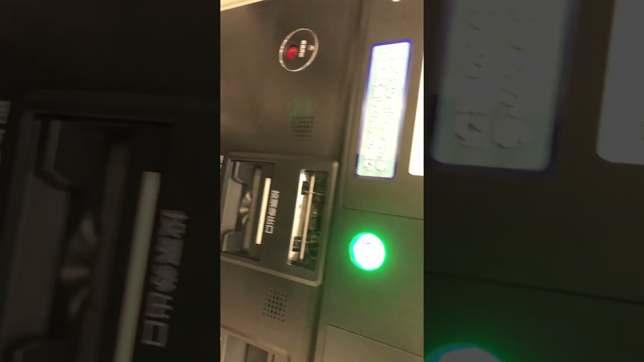 20231223 #福島競馬場 #中山大障害 払戻