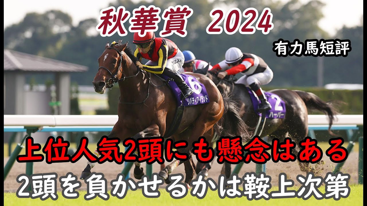 秋華賞 2024 有力馬短評 【S評価はあの馬に 2強に勝てる可能性がある馬は鞍上次第？】ステレンボッシュ・チェルヴィニアにも死角はある