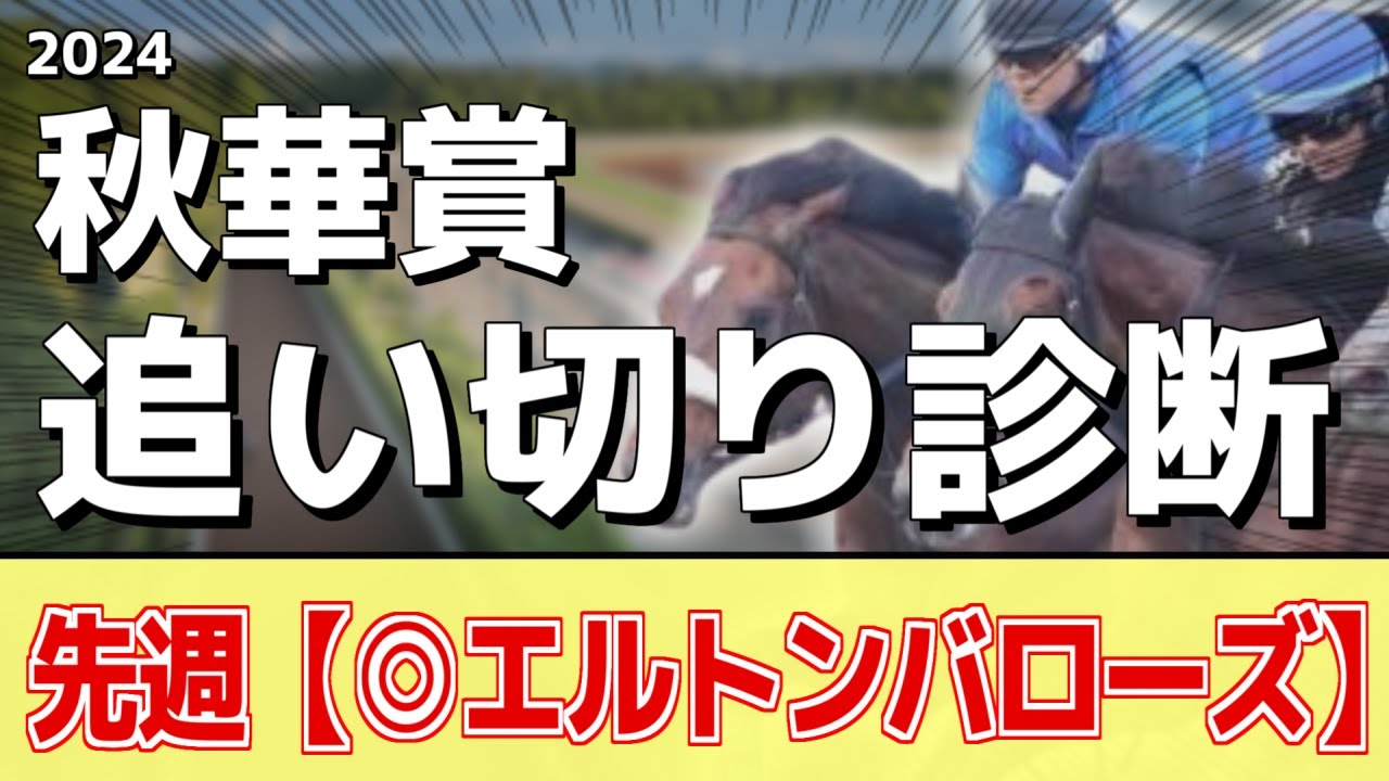 追い切り徹底解説！【秋華賞2024】ステレンボッシュ、チェルヴィニアなどの状態はどうか？調教S評価は2頭！
