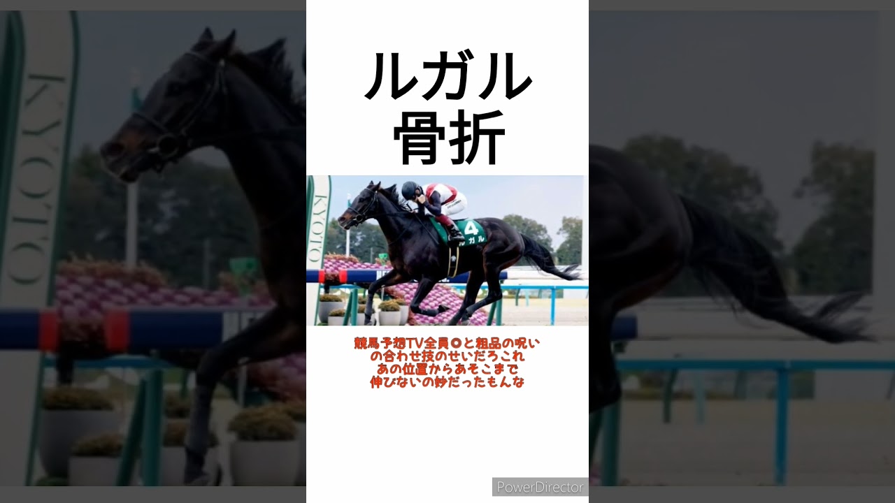 高松宮記念1番人気10着のルガルが骨折 6か月以上の休養　 #競馬