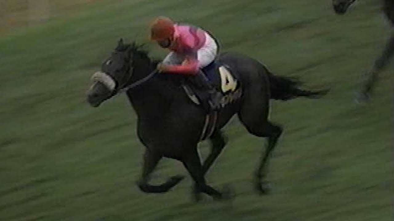 ナリタブライアン 1994年(平成6年)第55回菊花賞(G1)