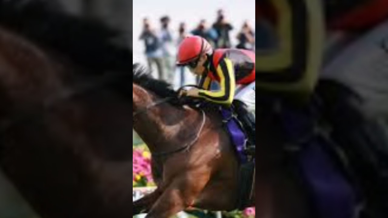 秋華賞】桜花賞13着から巻き返してオークス制覇　GⅠ連勝を狙うチェルヴィニア
